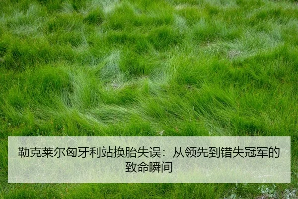 lei-ke-lai-er-xiong-ya-li-zhan-huan-tai-shi-wu-cong-ling-xian-dao-cuo-shi-guan-jun-de-zhi-ming-shun-jian-2-872.jpg