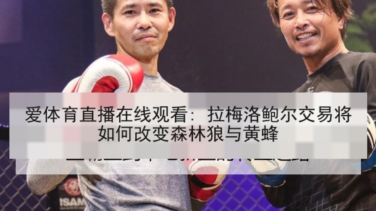 爱体育直播在线观看: 拉梅洛鲍尔交易将如何改变森林狼与黄蜂 爱体育直播在线观看: 拉梅洛鲍尔交易将如何改变森林狼与黄蜂