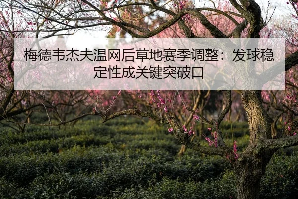 梅德韦杰夫温网后草地赛季调整：发球稳定性成关键突破口