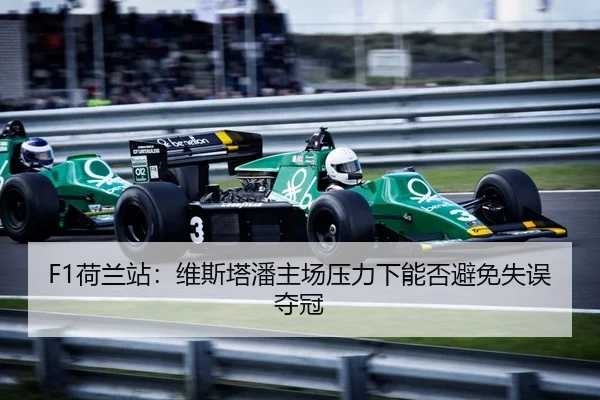 he-lan-zhan-wei-si-ta-pan-zhu-chang-ya-li-xia-neng-fou-bi-mian-shi-wu-duo-guan-2-647.jpg