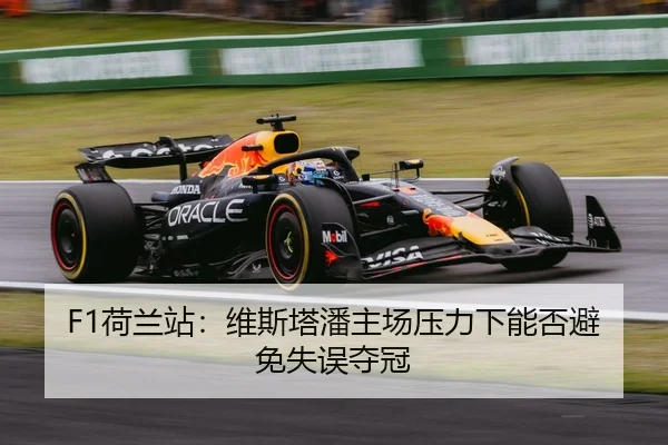 he-lan-zhan-wei-si-ta-pan-zhu-chang-ya-li-xia-neng-fou-bi-mian-shi-wu-duo-guan-3-285.jpg